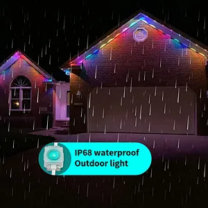 Festival Decoration Lighting DC36V Outdoor Waterproof RGB LED Pixel Light Strip